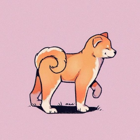 Akita Inu - Kimy